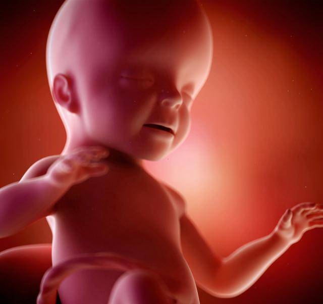 几个月可以感觉到宝宝胎动 e386603f1e5a408caa9e051466d4ed0b.jpeg