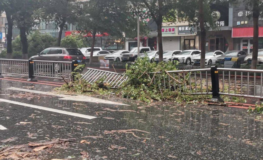 刮倒大树!台风"美莎克"过境吉林,雨不会停!更扎心的是