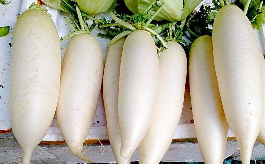 怎样晒萝卜片白又脆又好吃 2e36bb3fcf2c471e98bebb414bccd2f4.jpeg