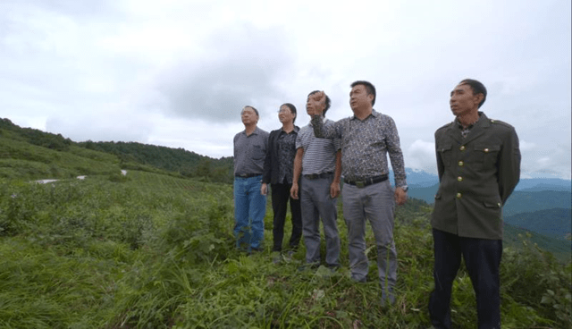 付志洪:建"有机茶第一乡村游示范村,推"五位联