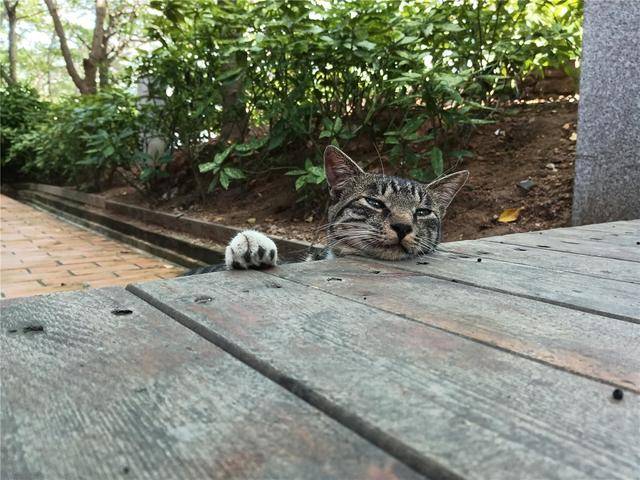 华为|华为畅享 20 上手：千元 5G 不妥协