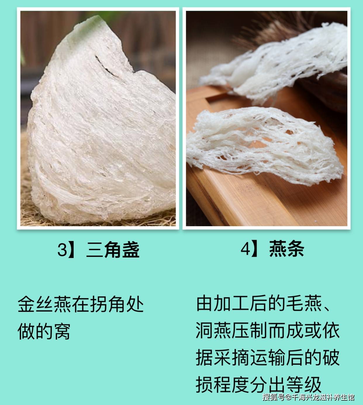 燕条燕窝燕盏燕窝到底该怎么区分