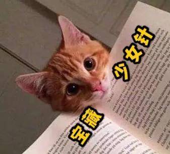 少女|她也太会搞了!自创精灵女王脸秒杀各种小花,哪个直男扛得住?