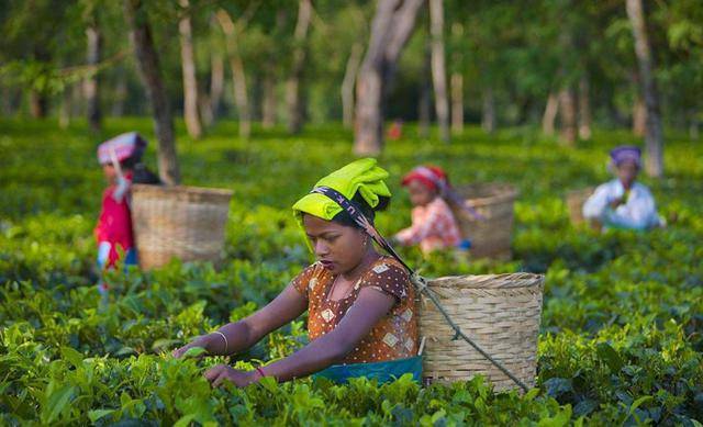 占gdp抬头_历史中国gdp世界占比