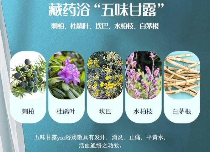 五味甘露: 在这里分别谈下他们的功效: 1,刺柏:主治肾病,能消炎止痒