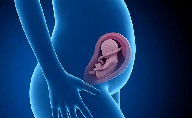 宝宝几个月开始发育大脑 e535279e5d9647a28a6e8018e947138a.png