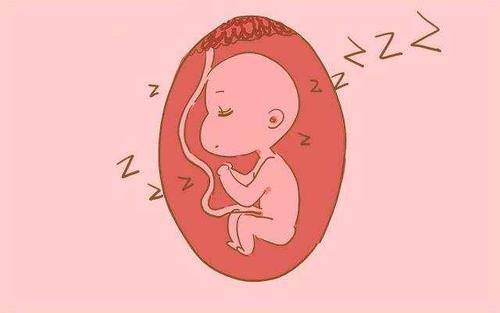 leyu乐鱼官网-
孕期这7周是胎儿畸形高发期 孕妈注意3个