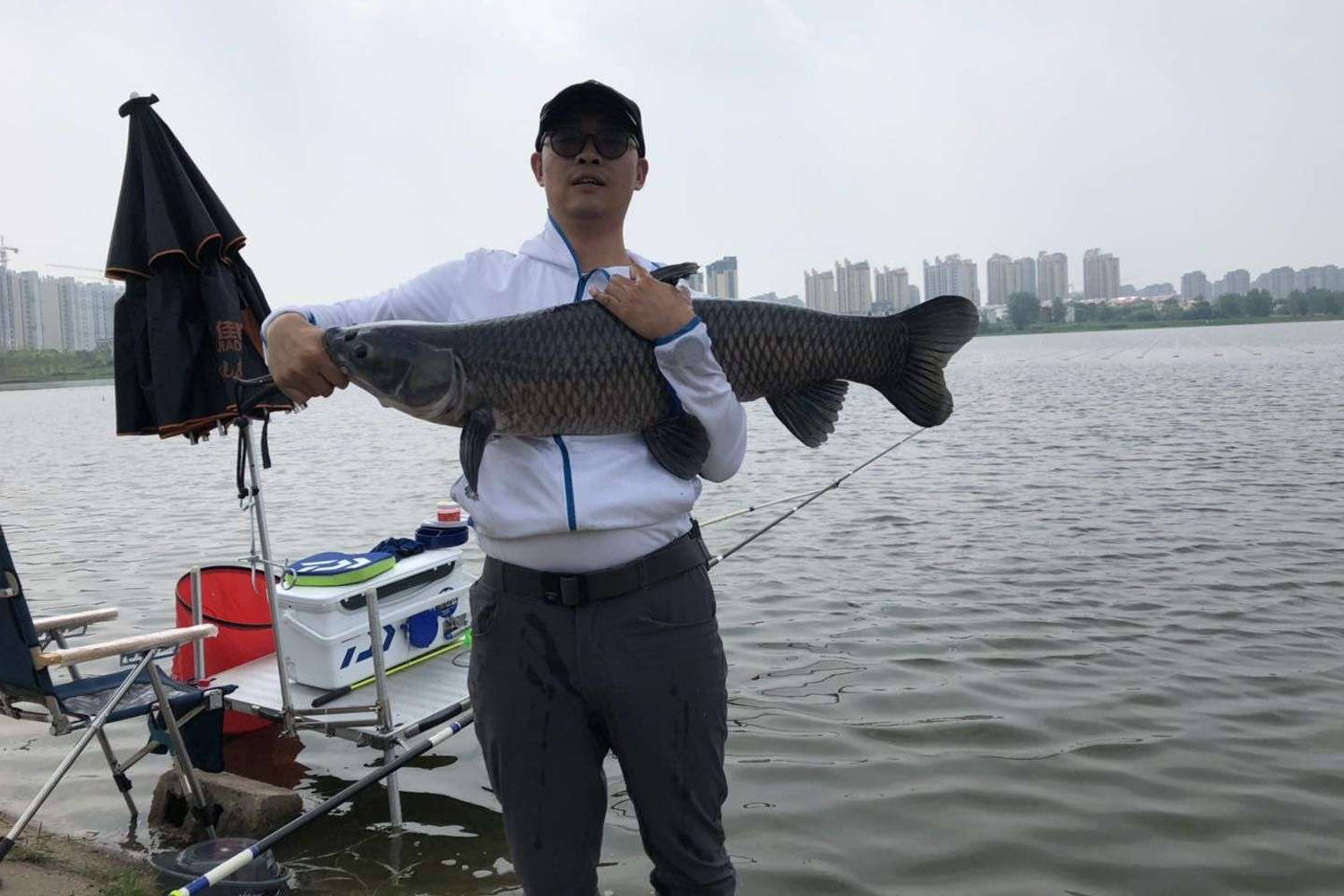 钓友|怎么才能钓到大青鱼？最能吸引大青鱼的气味？大青鱼最好用的钓法