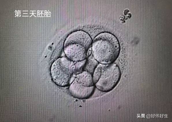 dfe21213a47a4cdc94296a93de1afe2e.jpeg