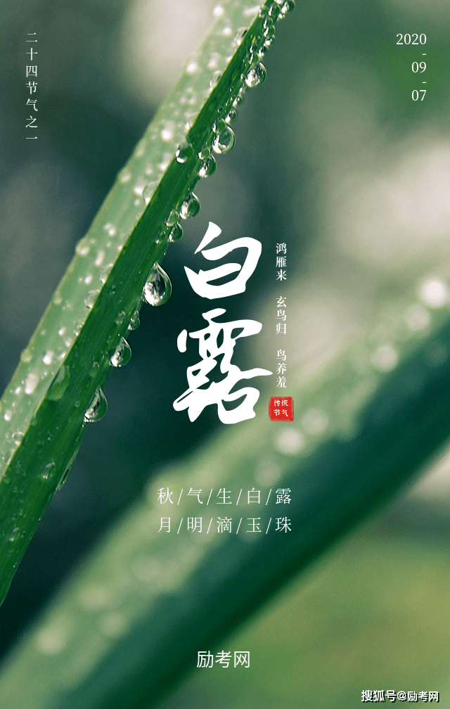 励考网:白露_节气