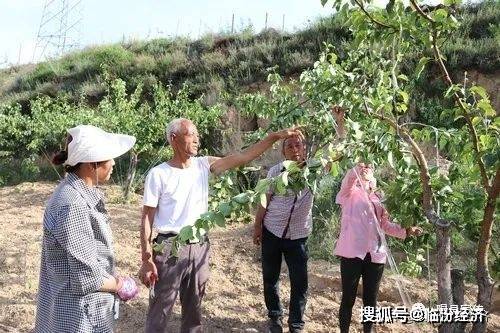 黄土有多少人口_黄土高原(2)