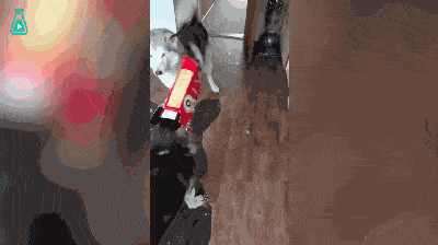 944ec53b7404446d9d1ec2058a474705.gif
