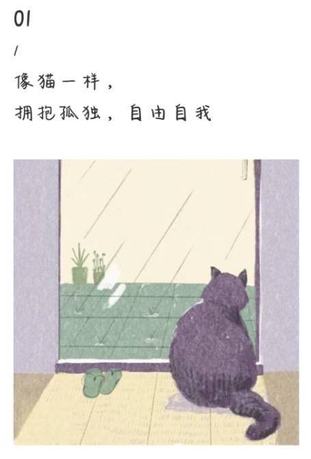 987a918328a14f5cb93c4e520538a4a5.jpeg