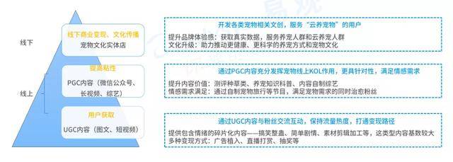 易观报告：云吸宠人群超5千万，2019年社交平台宠物博主超1.5万