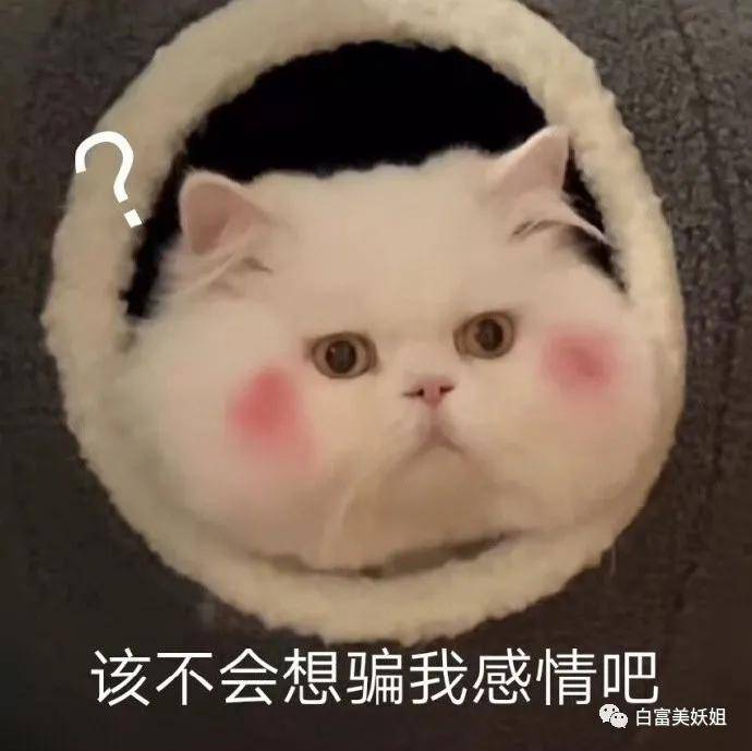 网暴|因一张图被说照骗带80w粉网暴路人，快手神颜真社会…