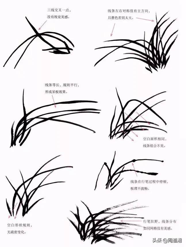 国画兰花的画法,太棒了!简单易学,强烈推荐收藏