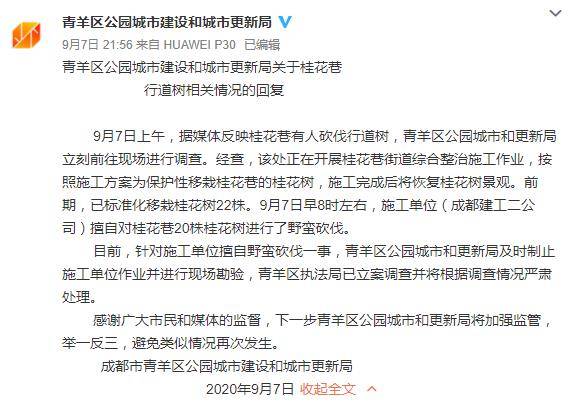 成都街道砍光桂花树，城市升级改造不能如此粗暴