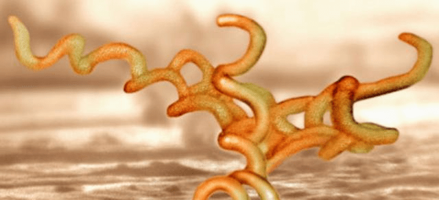 ab340da6094b4d4ba70bc501add8ee73.png