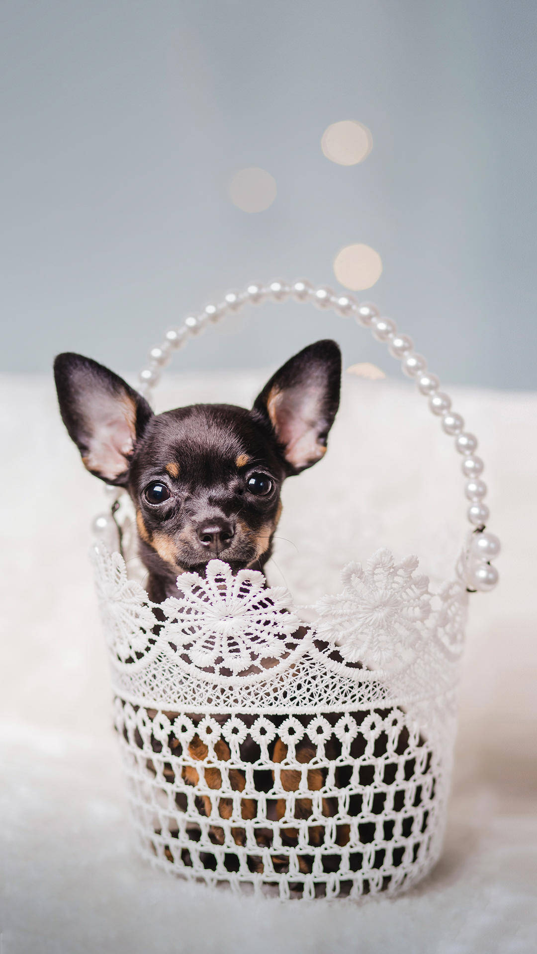 高三|新高考第一年高三考生该如何备考?