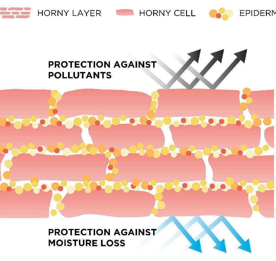 皮肤|口罩脸+换季!这下真的受不了了,敏感修复快看它