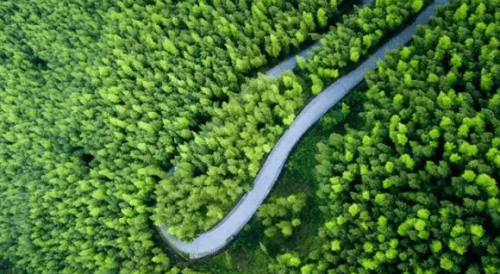 环敕木山越野赛怎么玩,景点介绍之草鱼塘森林公园_景宁