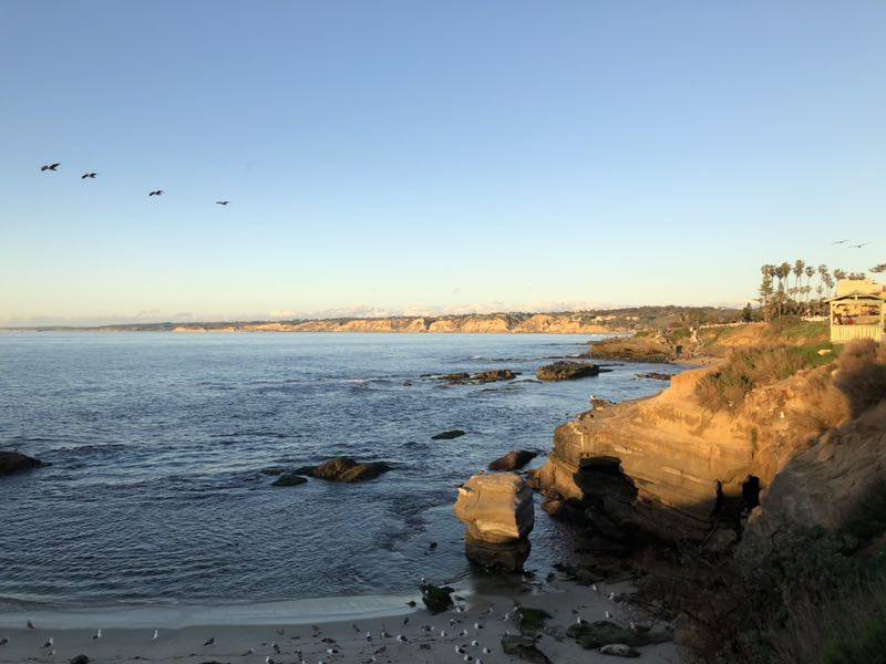 股票|创业板成交量首超上证，低价股继续狂欢，低价股为何涨得这么猛？