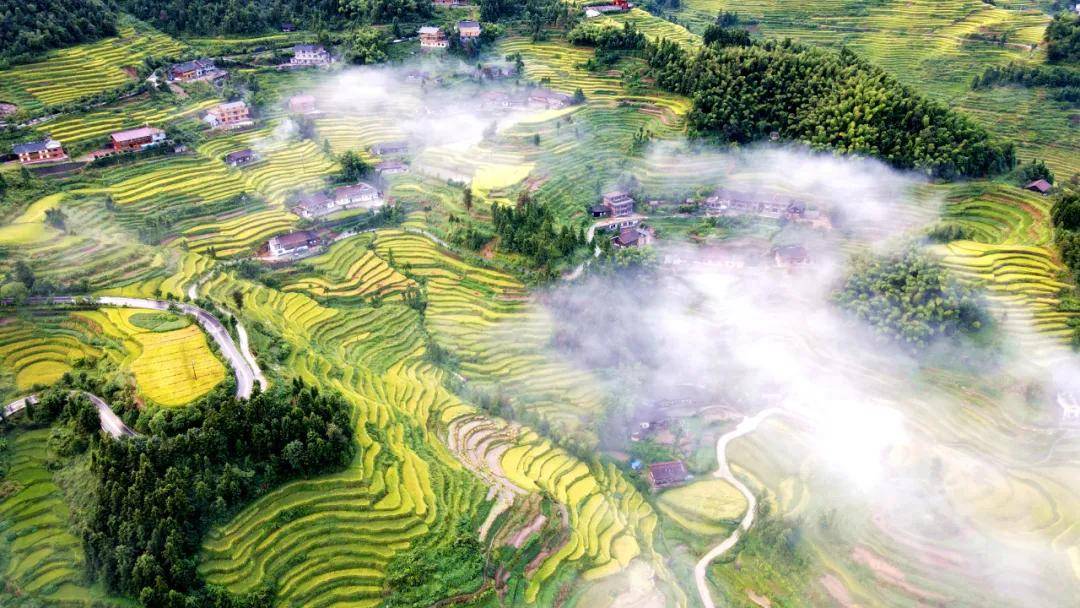 紫鹊界|湖南省首届乡村文旅网红大赛总决赛即将在紫鹊界火爆开启