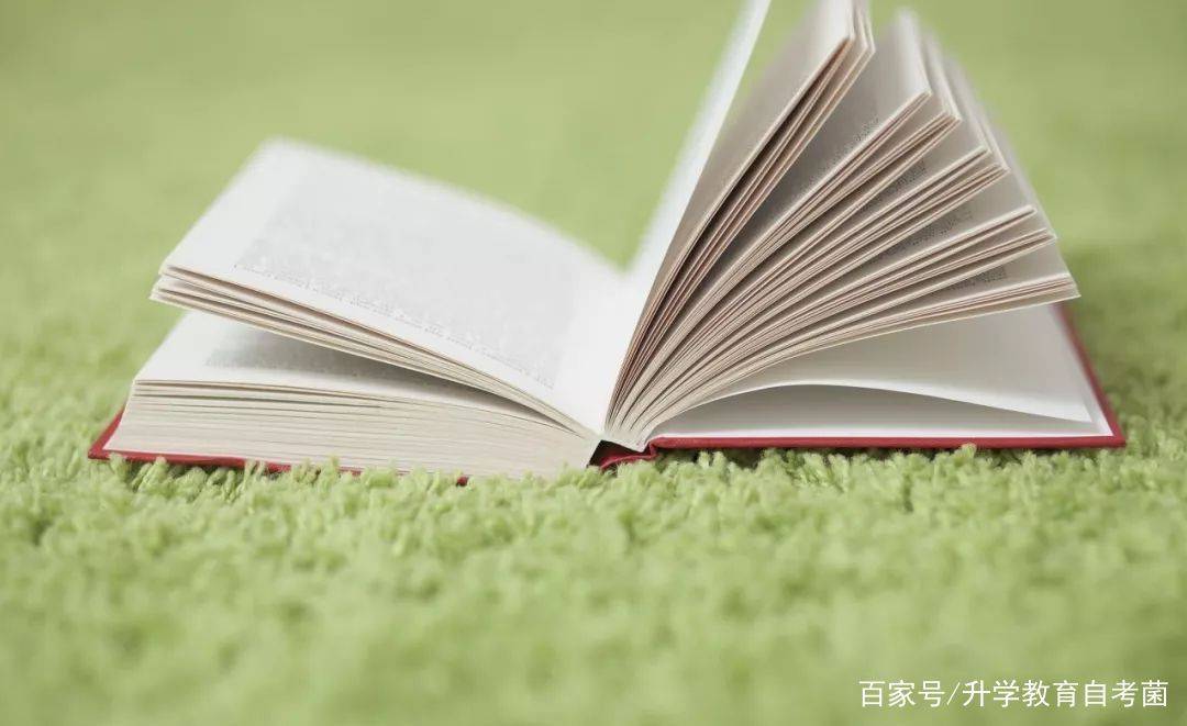 如何提高学习效率?90%的自考人亲测有效