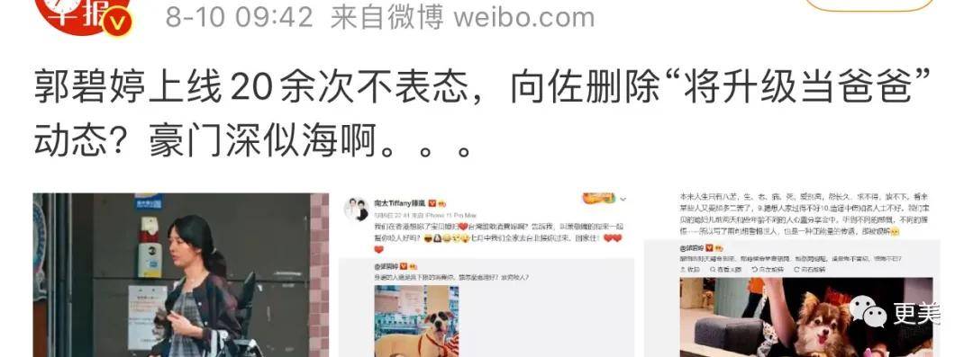 硬杠|郭碧婷再传婚变？孕期硬杠、不愧是向太都制不住的女人！