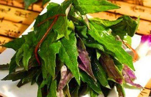 女人爱美多吃的食物,去除皱纹、美白护肤,排毒消脂,早吃早好
