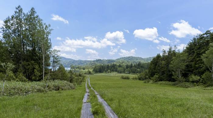 市场消费风越吹越散，家电厂商除了追风还得造风！-家电圈官网