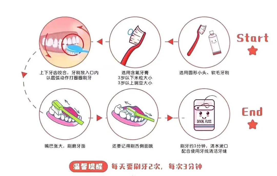 下面简单介绍一下牙线棒的使用方式