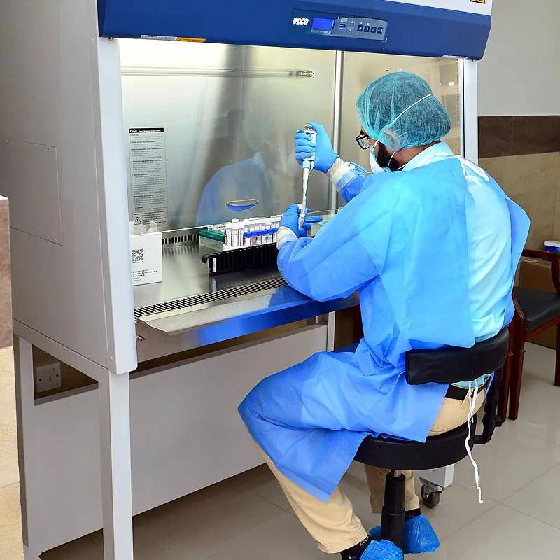 巴基斯坦，释放女囚 | 地球知识局