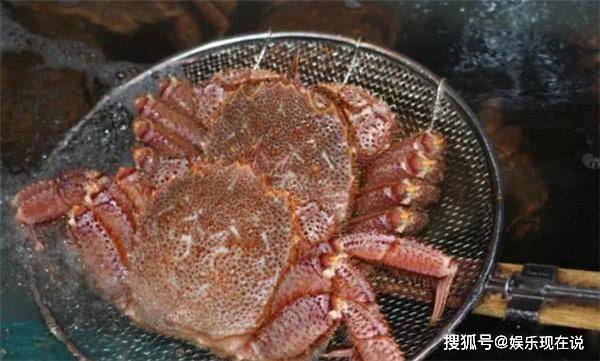 螃蟹的排名_螃蟹卡通图片(3)
