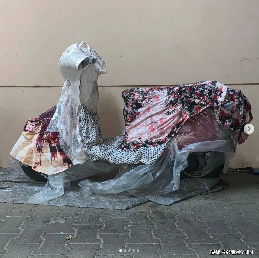 越南|被巴黎世家抄袭？把衣服种上鲜花、冻进冰块里？越南时装的高光时刻