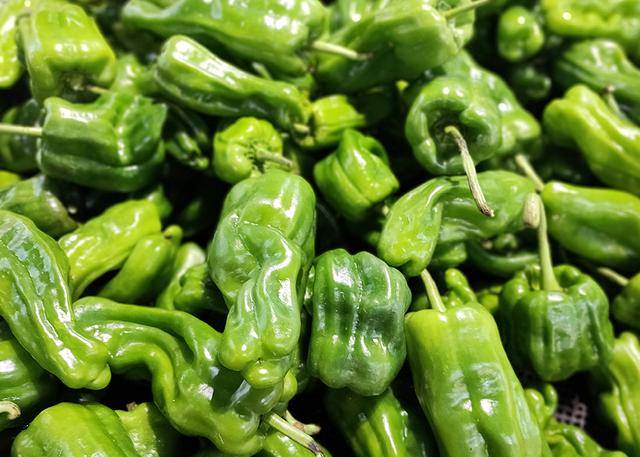 画面|三摄搭配夜景清晰，OPPO Reno4 Pro随拍体验