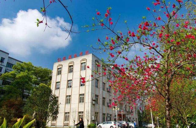 全国专科师范大排名_志愿填报2020全国师范类大学排名前5位,这