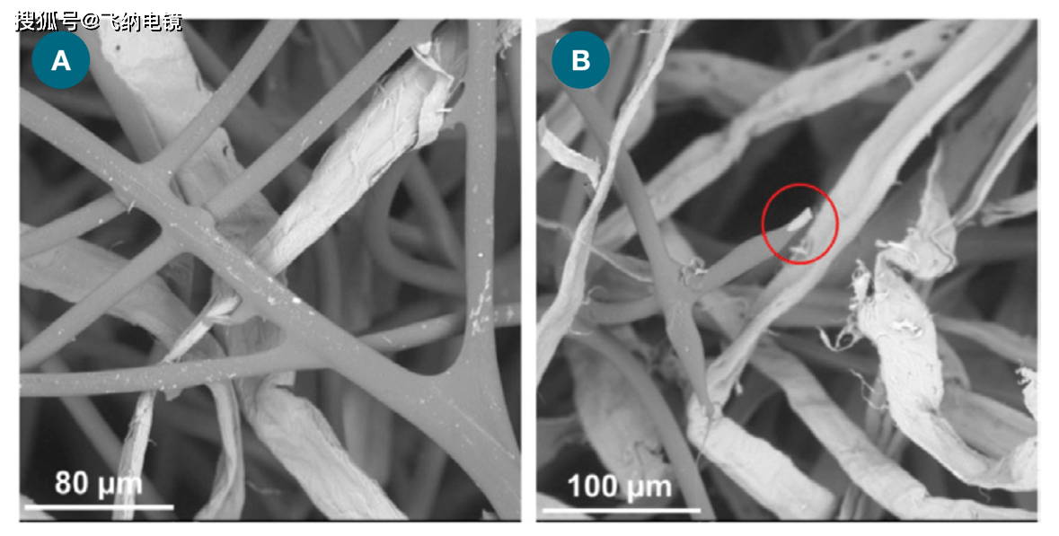 扫描电镜对非织造纤维形貌的表征