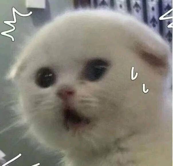 细数|名创优品的前身竟是街头10元店？细数那些挂着“洋牌”的国货