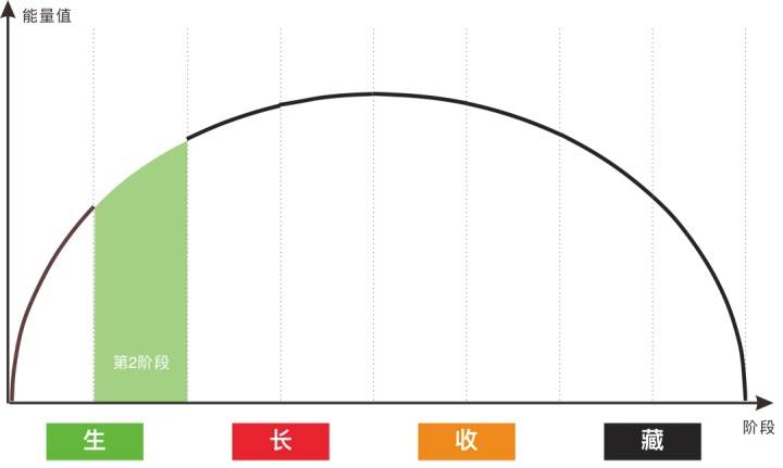 阶段|张杰彬：为什么李佳琦能够火这么久？