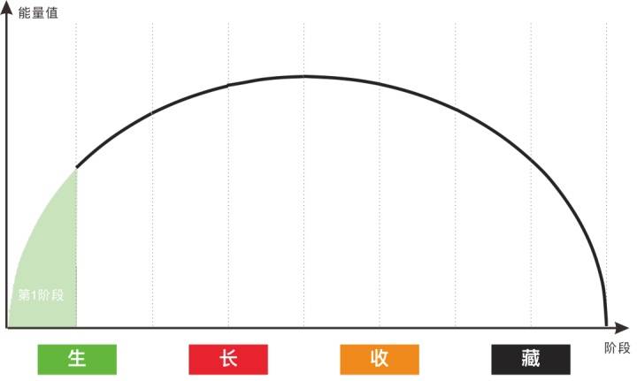 阶段|张杰彬：为什么李佳琦能够火这么久？
