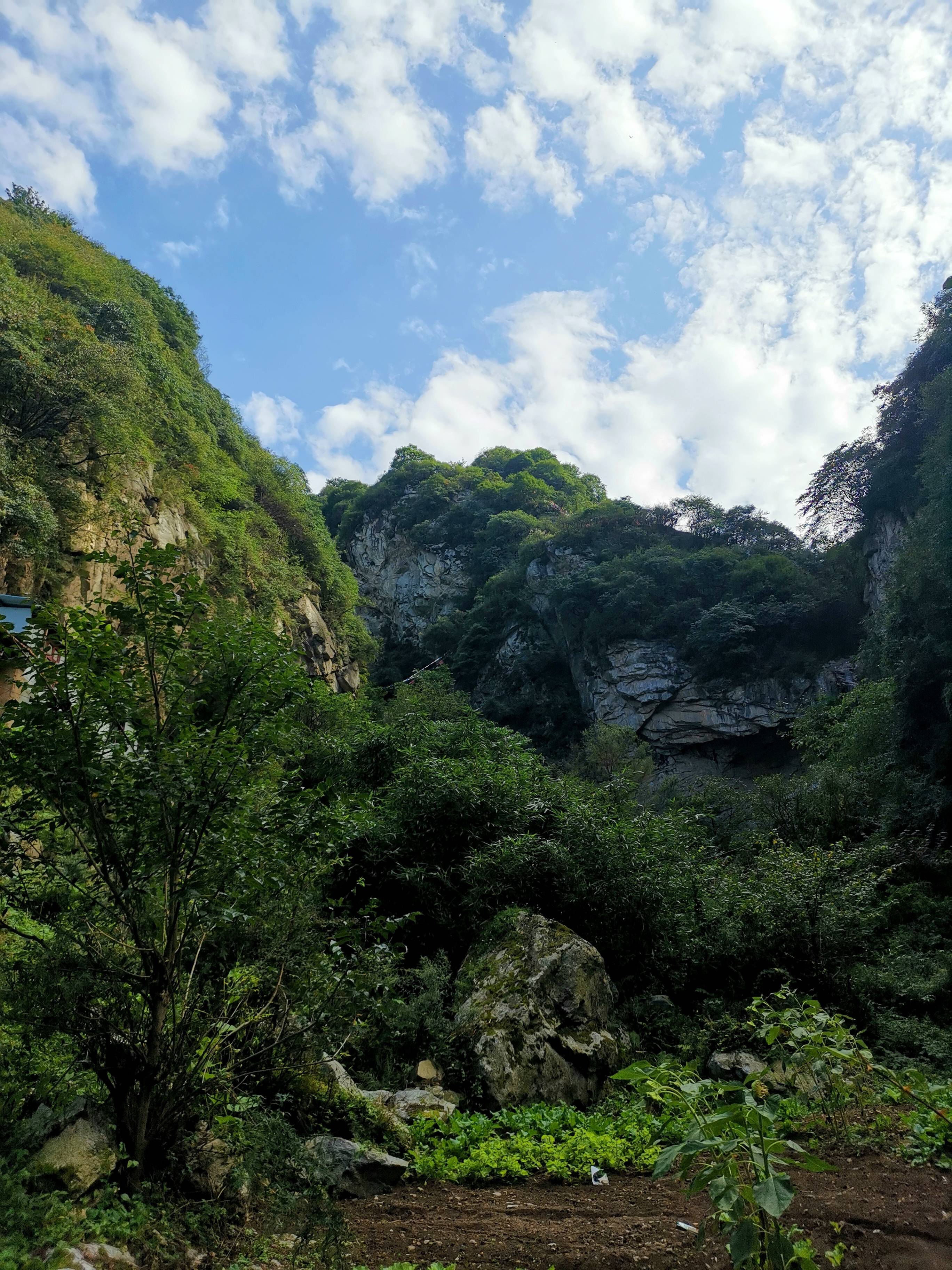 秦岭(|杜陵看山，秦岭望长安，抱龙峪里观云听秋风