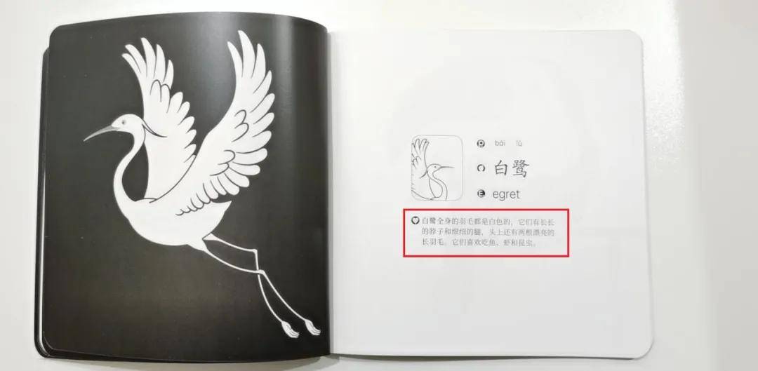 绘本|0~4岁绘本怎么挑？这套书给满分