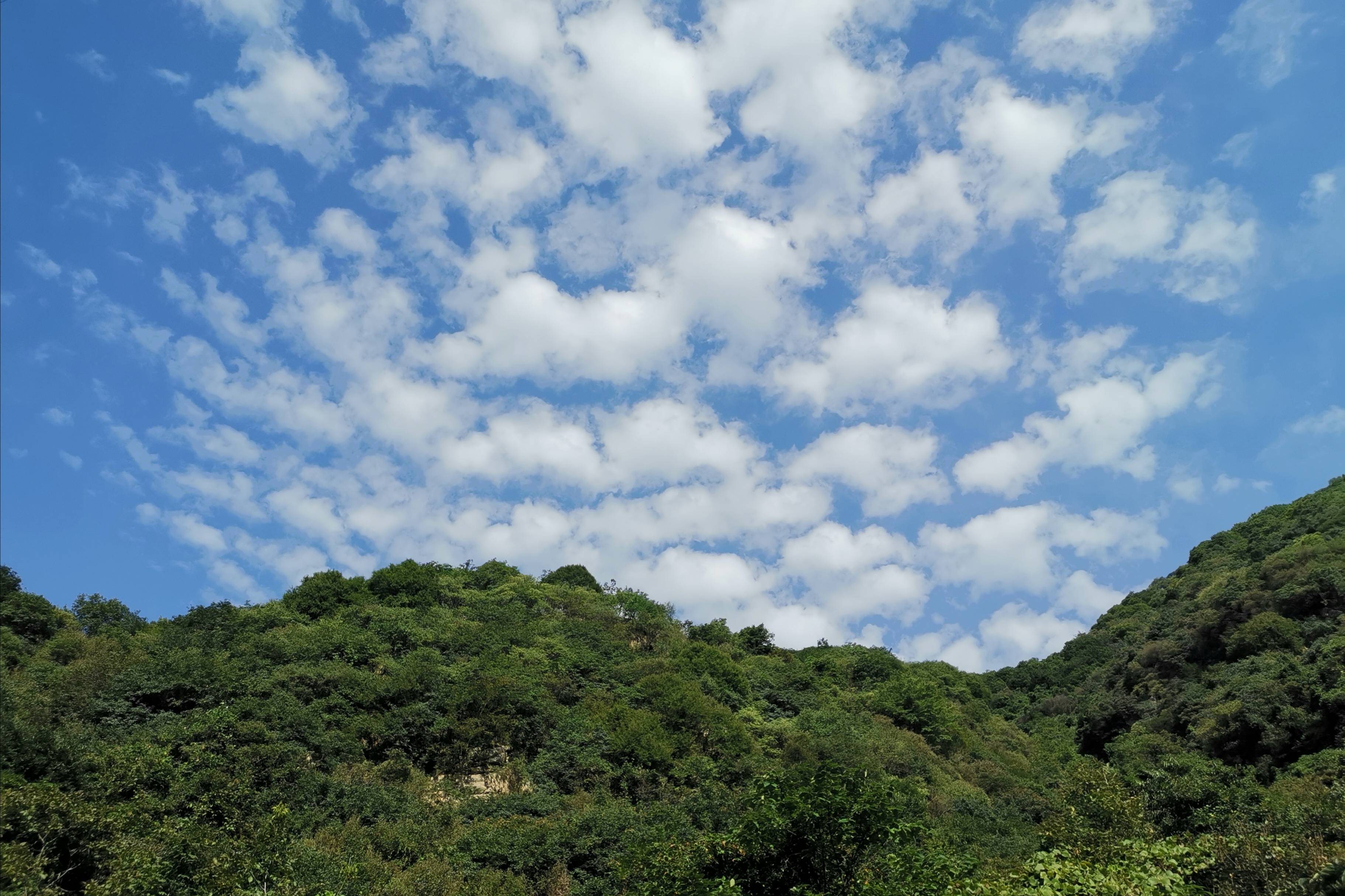 秦岭(|杜陵看山，秦岭望长安，抱龙峪里观云听秋风