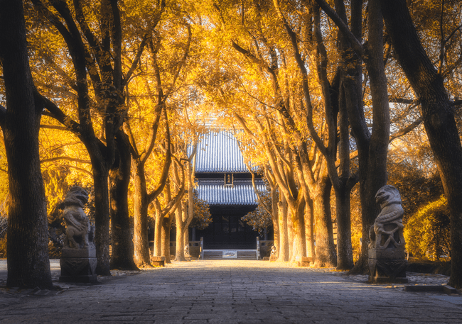 古代|叶落惊秋：说说中国古代各个朝代的立秋