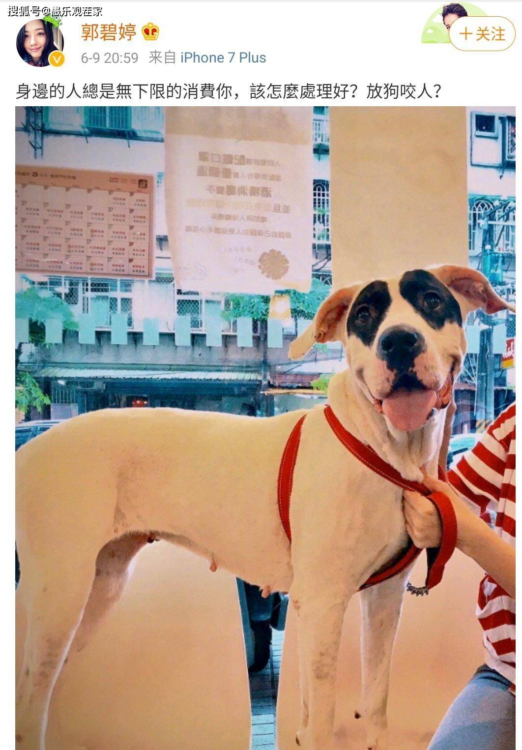 写真照|郭碧婷疑已成功“卸货”，工作室晒其写真照，身材纤细小腹平坦