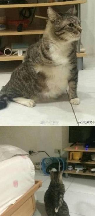 8457d89da64e4f3ab1a179494c7064d4.jpeg