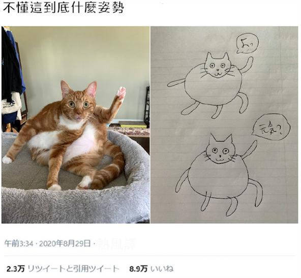 铲屎官晒出给自家猫画的画像 却让人满脸问号搞不懂 喵喵喵 猫咪