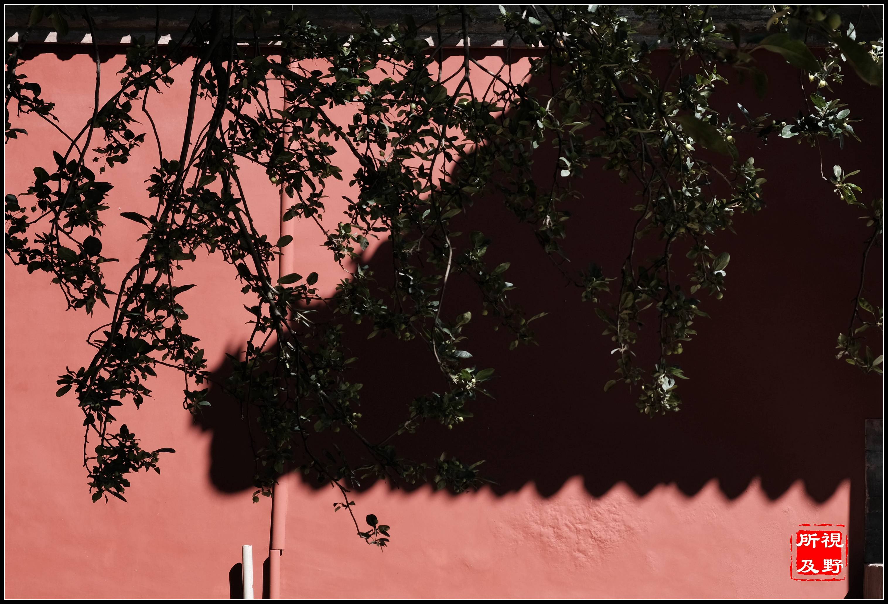 相机|把不简单的故宫拍摄为简单其实也不简单