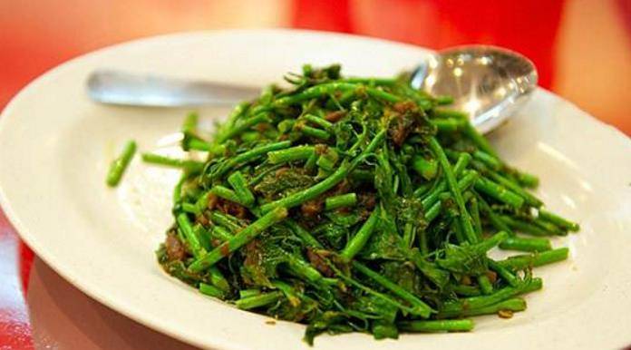 什么是树仔菜 01af28d3610a4830aa898cd8f1bafd10.jpeg